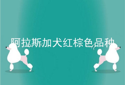 阿拉斯加犬红棕色品种