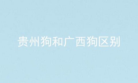 贵州狗和广西狗区别