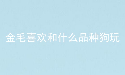 金毛喜欢和什么品种狗玩