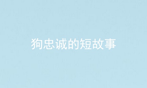 狗忠诚的短故事