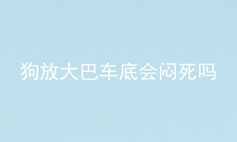 狗放大巴车底会闷死吗