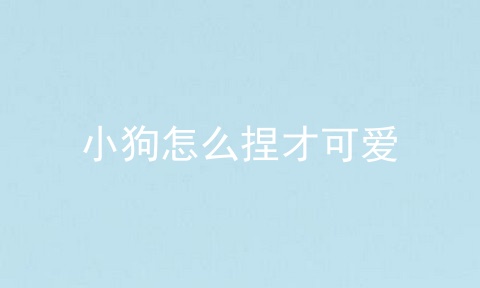 小狗怎么捏才可爱
