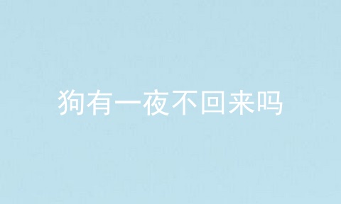 狗有一夜不回来吗