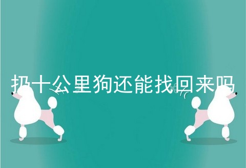 扔十公里狗还能找回来吗