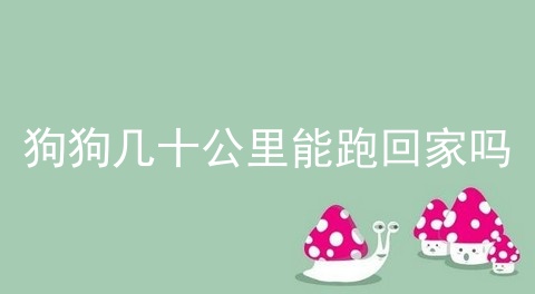 狗狗几十公里能跑回家吗