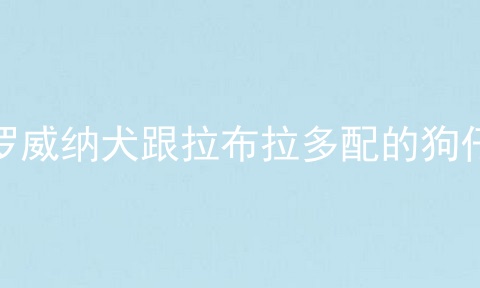 罗威纳犬跟拉布拉多配的狗仔