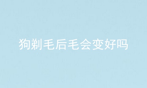狗剃毛后毛会变好吗
