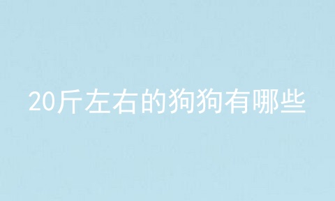 20斤左右的狗狗有哪些