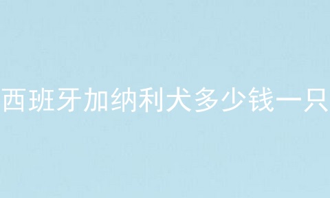 西班牙加纳利犬多少钱一只