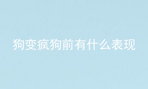 狗变疯狗前有什么表现