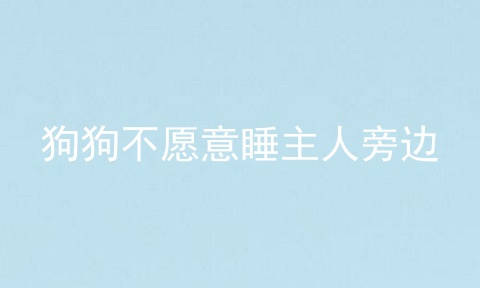 狗狗不愿意睡主人旁边