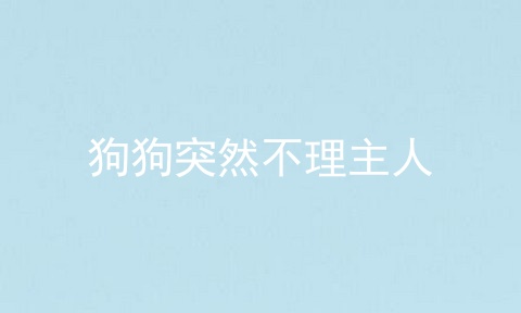 狗狗突然不理主人