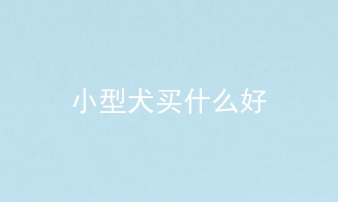小型犬买什么好