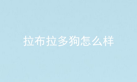拉布拉多狗怎么样