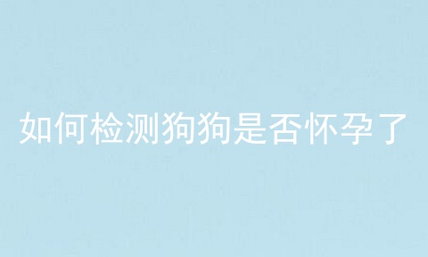 如何检测狗狗是否怀孕了