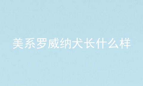 美系罗威纳犬长什么样