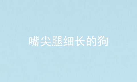 嘴尖腿细长的狗