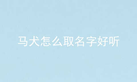 马犬怎么取名字好听