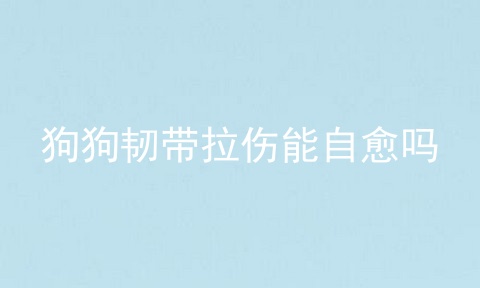 狗狗韧带拉伤能自愈吗