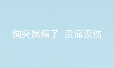 狗突然瘸了 没痛没伤