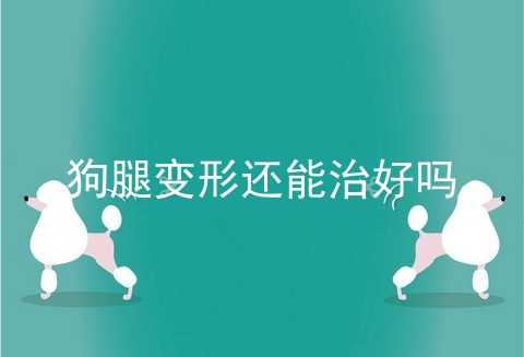 狗腿变形还能治好吗