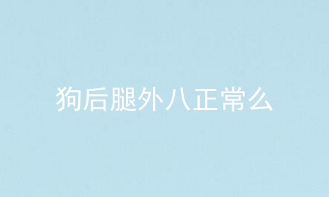 狗后腿外八正常么