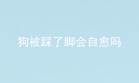 狗被踩了脚会自愈吗