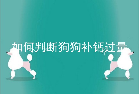 如何判断狗狗补钙过量