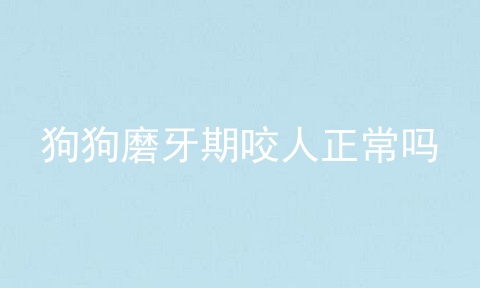 狗狗磨牙期咬人正常吗