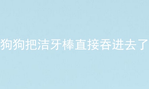 狗狗把洁牙棒直接吞进去了