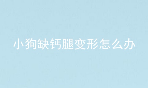 小狗缺钙腿变形怎么办