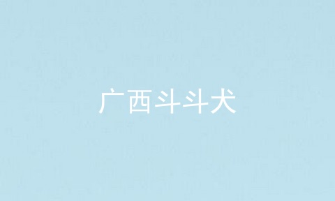 广西斗斗犬