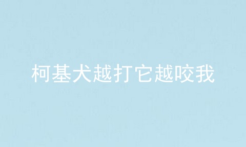 柯基犬越打它越咬我