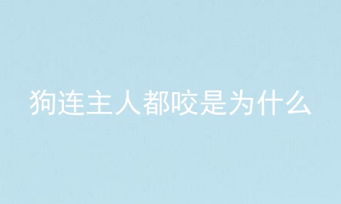 狗连主人都咬是为什么
