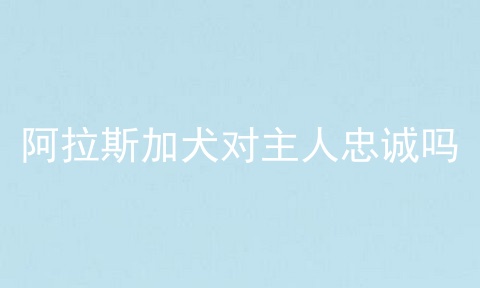 阿拉斯加犬对主人忠诚吗
