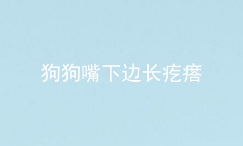 狗狗嘴下边长疙瘩