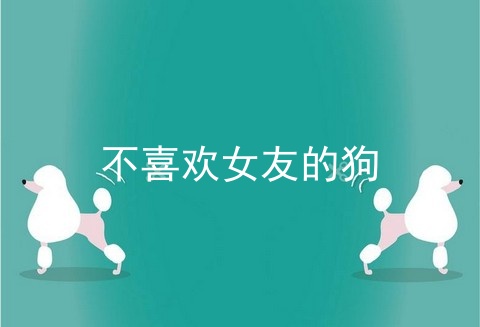 不喜欢女友的狗