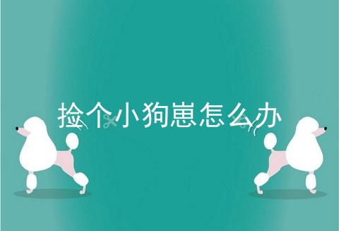 捡个小狗崽怎么办