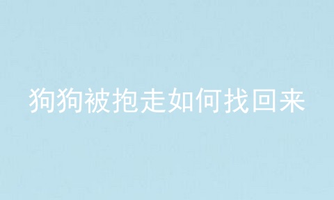 狗狗被抱走如何找回来