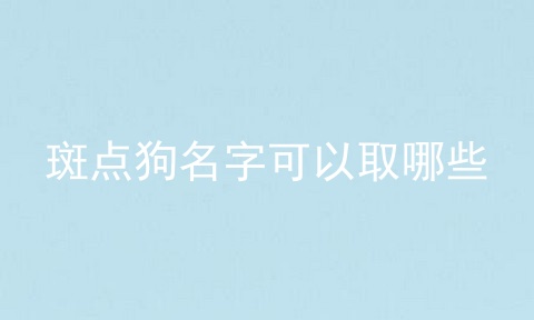 斑点狗名字可以取哪些