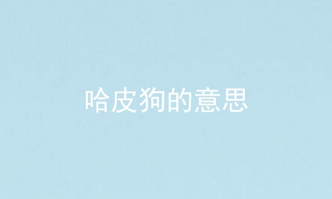 哈皮狗的意思