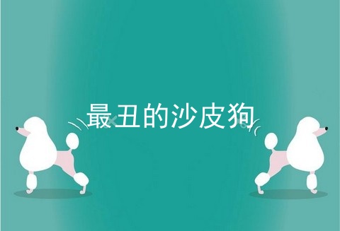 最丑的沙皮狗