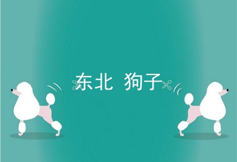 东北 狗子