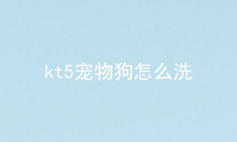 kt5宠物狗怎么洗