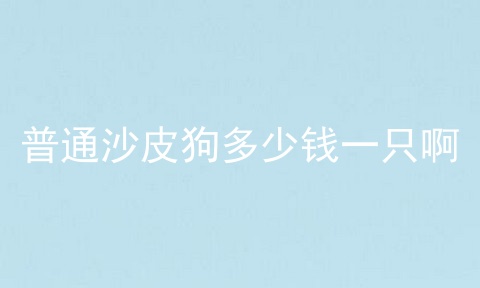 普通沙皮狗多少钱一只啊