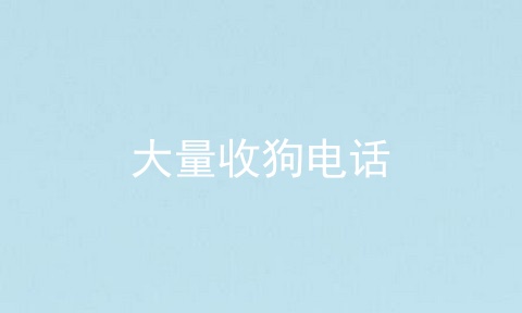 大量收狗电话