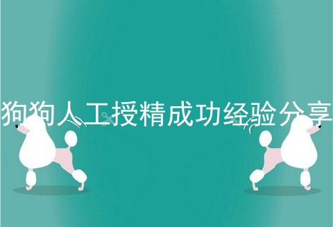 狗狗人工授精成功经验分享