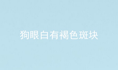 狗眼白有褐色斑块