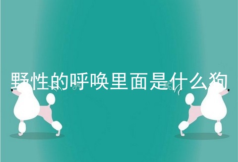 野性的呼唤里面是什么狗