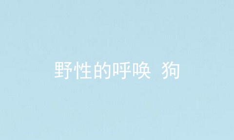 野性的呼唤 狗